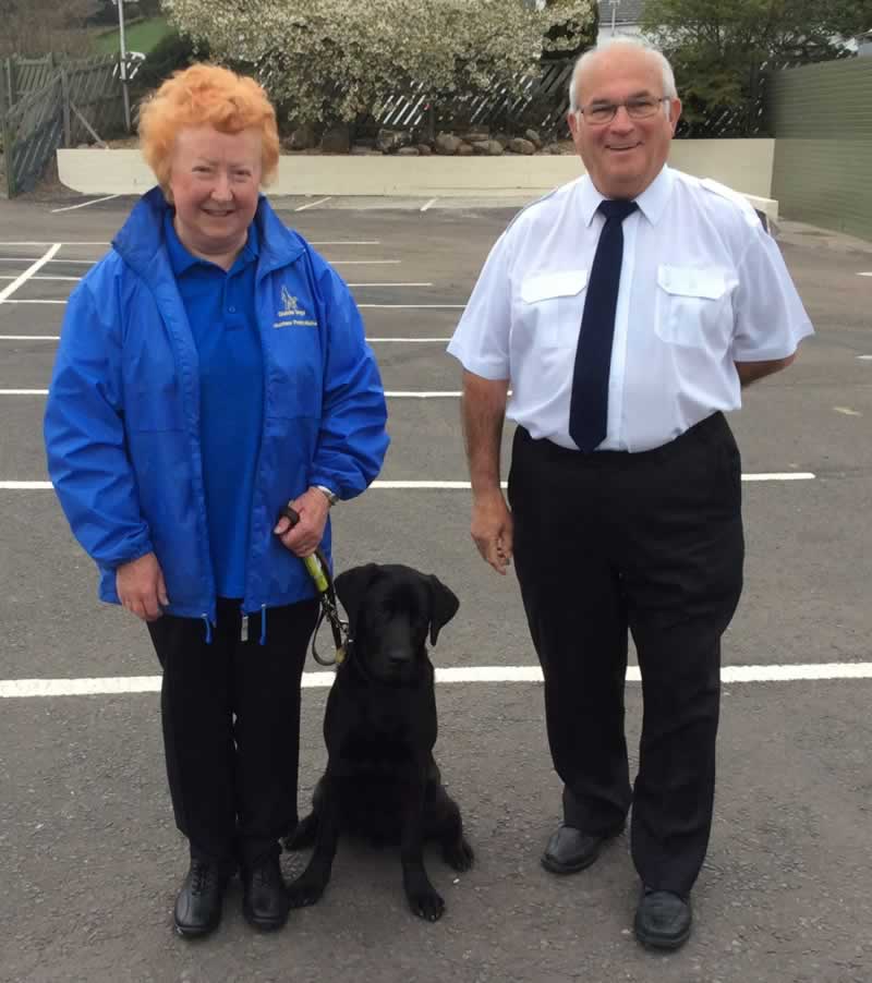 Guide Dog Mason